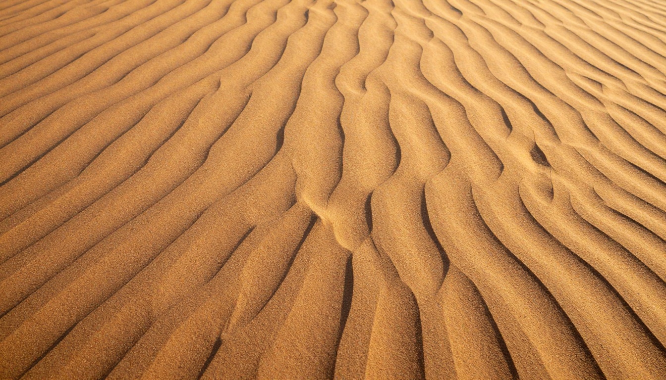 Natural desert sand dunes with wind-sculpted ripple patterns resembling audio waveforms in golden afternoon light